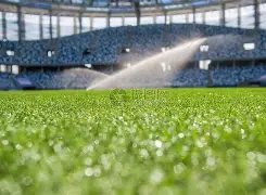 凱塞多,切尔西磨砺,之途与马雷,世界杯赛程,2026赛程,赛事安排,比赛城市,足球赛程