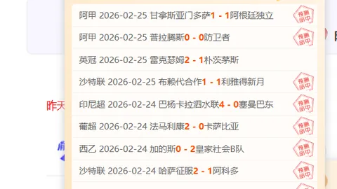 “2025赛季联赛积分排行：罗马以29分领先，巴黎队28分紧追不舍”